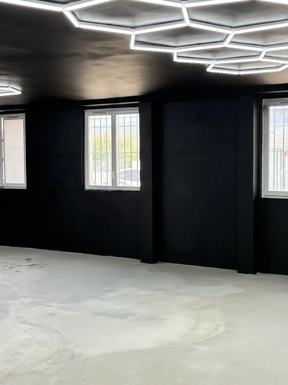 Local professionnel : peinture et éclairage LED
